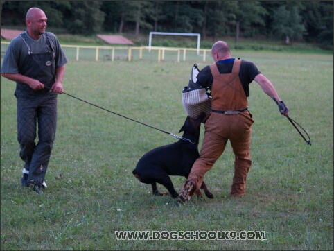 Training camp - Lukova 2007